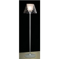 Floor Lamp(BM-3000F3)