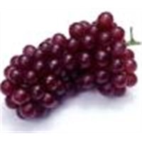 Grape Seed Extract