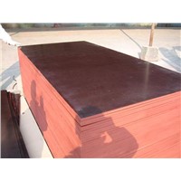 Marine Film Faced Plywood