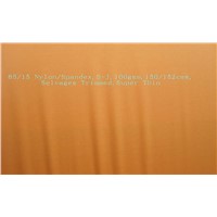 Nylon/Spandex Single Jersey (ND43S-10)