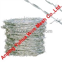 Barbed Wire