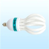 Energy Saving Bulb Light