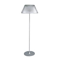 floor Lamp(BM-3001FB)