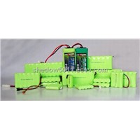 Packed Battery