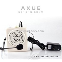 Portable Amplifier