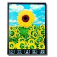 2.8-Inch Mobile Phone TFT LCD Module (YM280T-003HT)