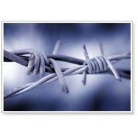 Barbed Wire