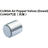 CUMSA Air Poppet Valve