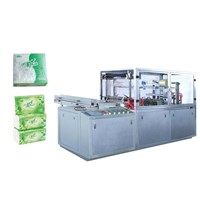 Automatic Drawable Square Facial Tissue Packing Machine (DTH300)