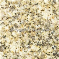 Yellow Rusty Stone Granite (G350A)