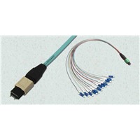 MPO Patch Cord