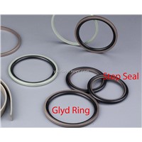 PTFE seal