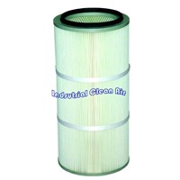 Polyester Filter Cartridge with PTFE Membrane