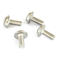 Screw