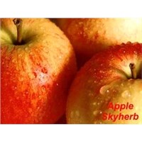 Apple Extract (Apple Polyphenols &amp;amp; Phloretin &amp;amp; Phloridzin)
