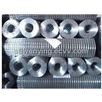 Welded Wire Mesh