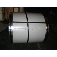 Colored Coating Steel Sheet