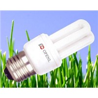 Compact Fluorescent Bulb Light