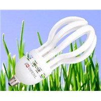 Energy Saving Bulb Light