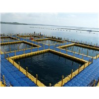 mariculture,aquatic farm,fish farm