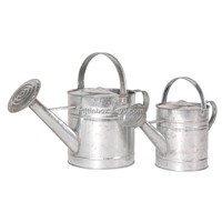metal watering can watering pot