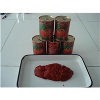 Canned Tomato Paste 425g