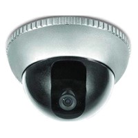 Vandal Proof Camera
