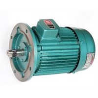 Newtron Induction Motors