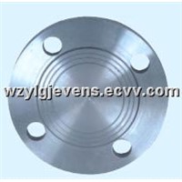 Stainless Steel Plate Flanges