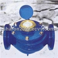 Rotary vane wheel liquid sealed water meter(LXSY-E)