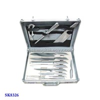 11pcs Knife Set in S/S Hollow Handle