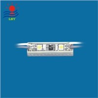 2-SMD 3528 Water proof module