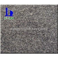 Dark Grey Granite (DYG-031)