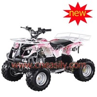 110cc EPA ATV(YP110)