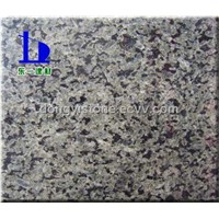 Green Granite (DYG-037)