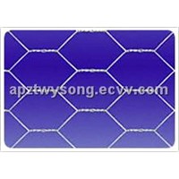 Hexagonal Wire Mesh