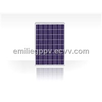 Poly-Crystalline Solar Panel 10W-280W