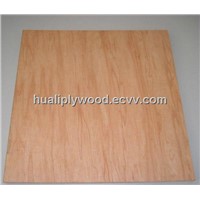 plywood factory,MR glue,furniture usage