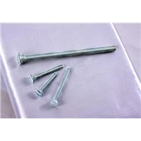 Carriage Bolt (DIN603)