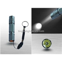 LED Flashlights (WS-301)