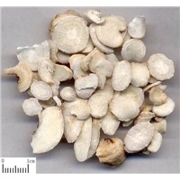Paeonia Lactiflora Pall Extract 10%Paeoniflorin HPLC