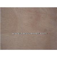Plywood Door Skin