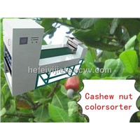 cashew color sorter &amp;amp; cashew processing machine
