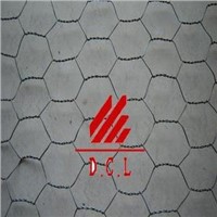 stainless steel hexagonal wire mesh