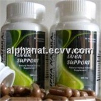 Liver Support (Hepato Protector, Hepato Stimulant)