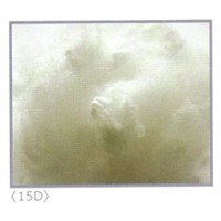 Regenerated Polyester Staple Fiber (15 Denier)