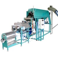 Automatic Cashew Peeling Machine