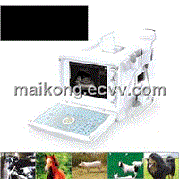 Veterinary Ultrasonic System