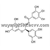 Epigallocatechin gallate