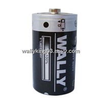 Carbon D Battery (R20 D)